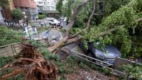 Typhoon floods central China, puts Beijing on alert