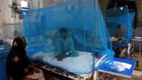 Islamabad reports only three dengue cases this year despite thousands of larval sites