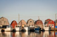 Canada offers to buy out oyster harvesters as disease hits Atlantic fishery hard