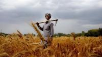 Farmers Threaten a Million March Over Punjab’s Agriculture Crisis