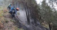 Wildfire at Indonesia's Mount Bromo mostly contained as smoke forces school closures