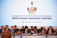 Indonesia presses BRICS to defend multilateralism amid trade shift