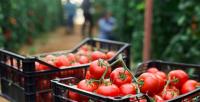 FSANZ backs ACCC inquiry, AFGC defends sector