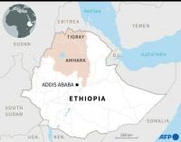 Ethiopia's Tigray rebel authorities condemn army drone strikes
