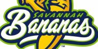 Review: SAVANNAH BANANAS at Target Field Minneapolis