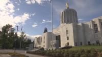 Oregon task force approves final firearm suicide report