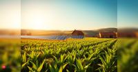 Harvesting the sun twice: How agrivoltaics can fuel India’s rural revolution