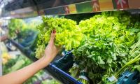 Top food scientist: 'I wouldn't touch bagged salad in a million years' - stark warning as toxic lettuce fuels spread of 'explosive diarrhoea' parasite