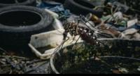 Dengue Cases Surge Past 90,000 In Sri Lanka