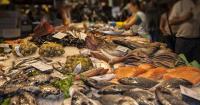 The Board raises to 6.6 million the aids for marketing and transforming fishery products