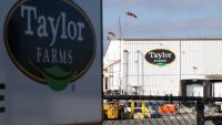 Taylor Farms recalls Target, Walmart products over salmonella risk