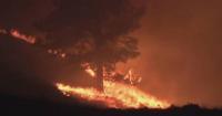 Deadly wildfires force 20,000 Canadians to flee as flames sweep across British Columbia
