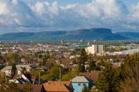 What's missing? City to study retail and commercial gaps