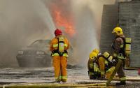 Heroic Firefighters Save Seven Puppies in Dramatic Colorado House Fire Rescue