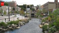 A buried river was uncovered in Yonkers; 6 months later, wildlife had a 14,000 sq ft habitat