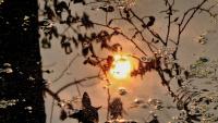 Permanent daylight saving time? Here’s what MA would notice