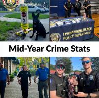 Fernandina Beach Police Department Releases Mid-Year Statistical Data