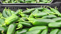Taylor Farms Recalls Jalapeño Products Sold at Major Retailers Amid Multistate Salmonella Outbreak