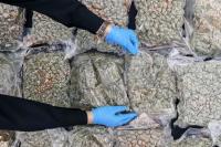Police bust syndicate storing RM21m worth of ganja near KLIA, Penang airport