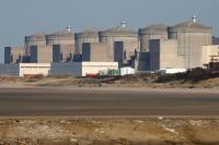 Jellyfish-hit French nuclear plant shuts down three reactors