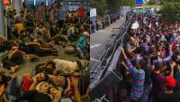Hungary Didn't Stop Immigration. It Made It Invisible