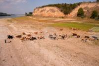 Romania Starts Emergency Dredging Operations in Danube near Cernavoda NPP