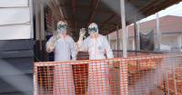 Congo says 2,000 people have died in its Ebola outbreak, fastest growing on record