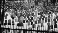 The Nearly Departed: Inside the Art of Writing a Great Obituary