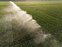 Why the biggest risk to agriculture lies beneath our feet