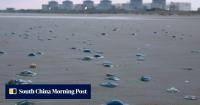 Jellyfish force shutdown of 3 reactors at French nuclear power plant