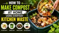 Gardening Tips: How To Make Compost At Home Using Everyday Kitchen Waste