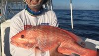 3 states make second try for more Atlantic red snapper fishing days