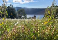 Community groups and organisations invited to apply for nature restoration funding