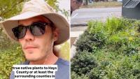 Texas city replaces turf and invasive plants with a sweeping native landscape overhaul