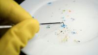 Scientists May Have Found a Way to Remove Microplastics From Soil and Water
