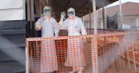 2,000 dead in DRC’s fastest-growing Ebola outbreak