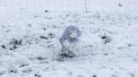 Late snow blankets parts of southern Africa as winter nears its end