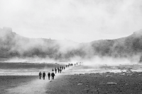 The Forthcoming Migration Storm