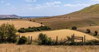 NatWest steps up support as drought pressures farmers