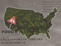 How Cyclospora Exploded Across the U.S. This Summer