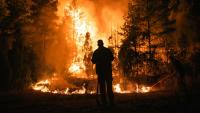 Serbian Firefighters Douse Wildfire in Deliblato Sands After Seven-Day Blaze