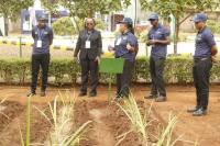 The Tanzania Sugar Board eyes sugar self-sufficiency by 2030