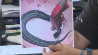 Venomous snake found hiding in Arkansas high school football player’s helmet