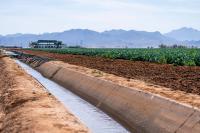 Practical water-saving strategies every SA farmer can use now