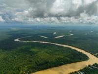 Why investing in biodiversity matters for supply chains and business security