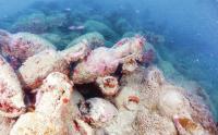 Italian diver discovers ‘treasure at the bottom of the sea’ in Sicily