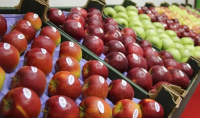 Will Moldova Be Able to Capitalize on the Decline in Apple Production in the EU?