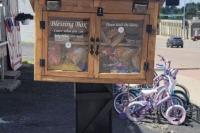 Woman Caught On Camera Destroying Sioux Falls Blessing Box With Golf Club