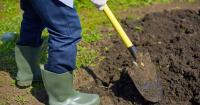 Call before you dig: Illinois marks first official 811 day