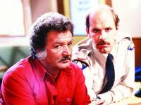 Combing Canada's tastiest television archives